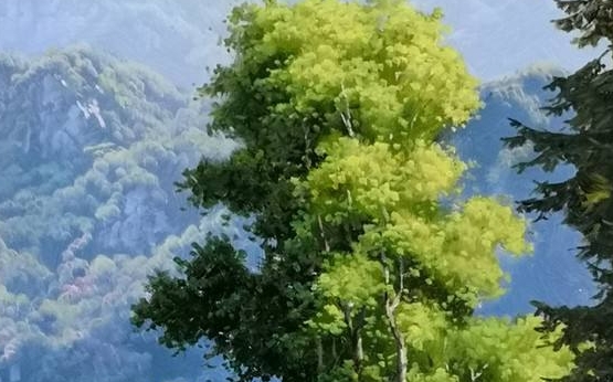 真实停车场模拟