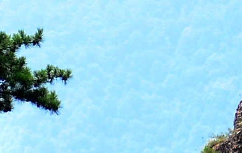 伊利创意百分百