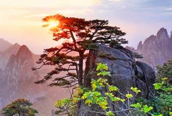 探究世界线：收束与CV的解析