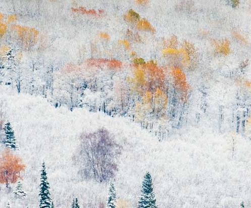 神将世界角色变成极技能变化