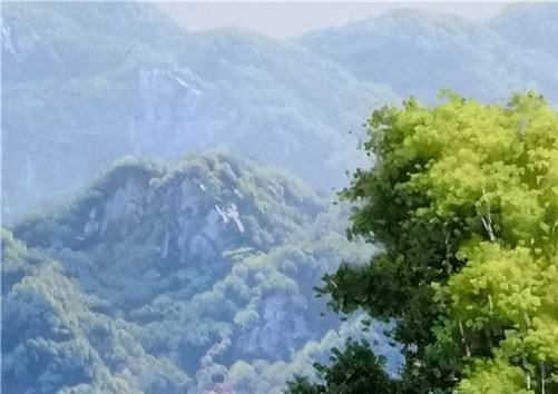 圆形图案设计图片