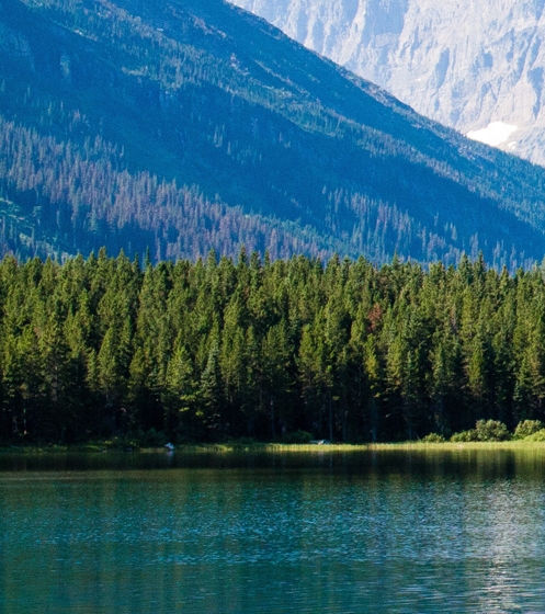 亿万科技结晶系统