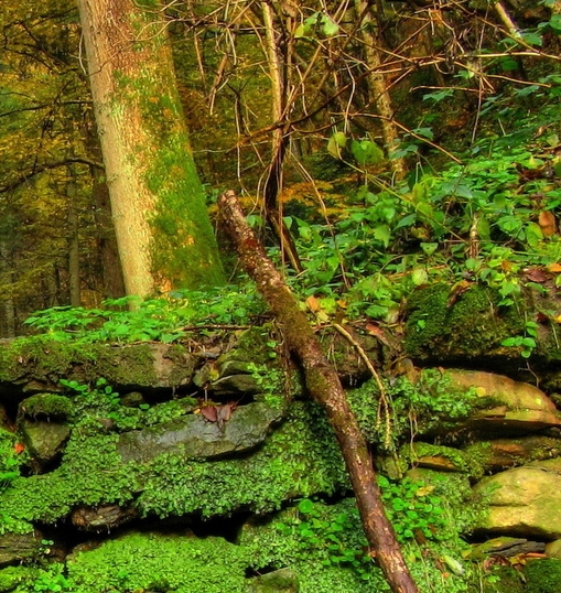 飞机发动机核心材料