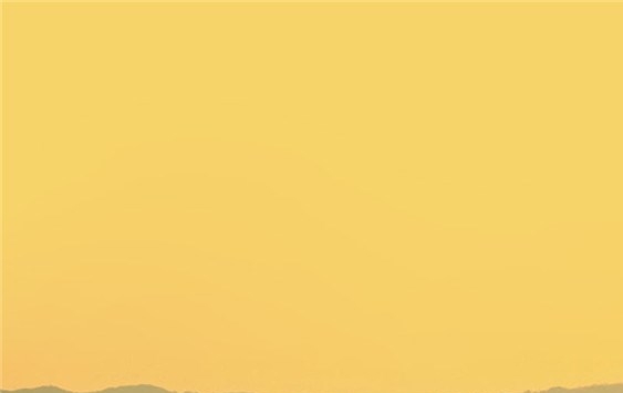 翼猫科技最新消息