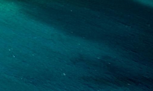 世界明天死亡人数