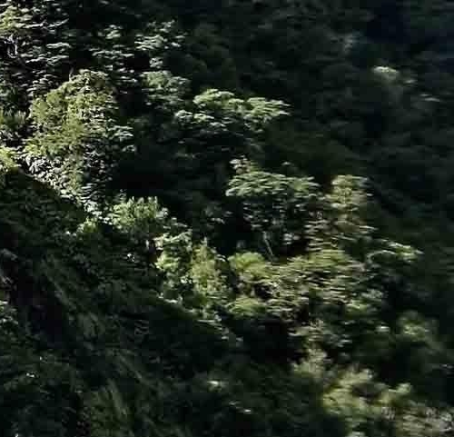 世界围绕着我旋转