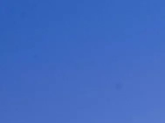 科技活动日