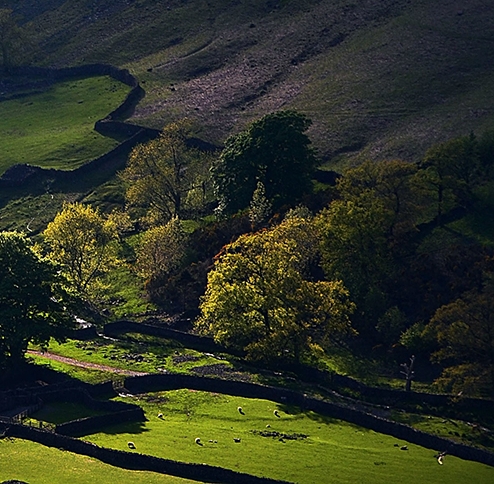 章丘银座佳悦酒店