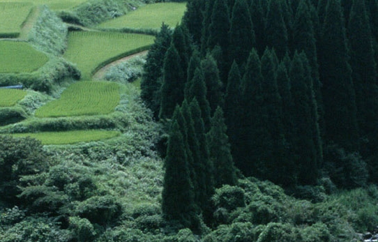 世界盒子9.2版本内置修改器