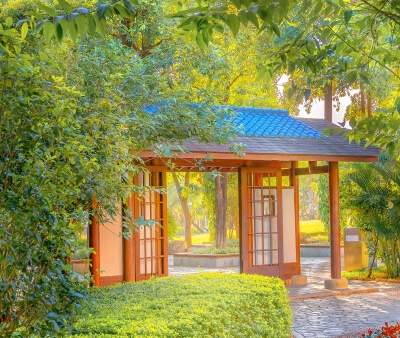 心灵旅行图片