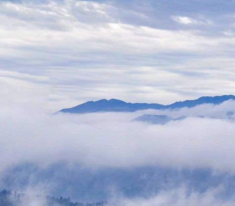 世界要是没有光