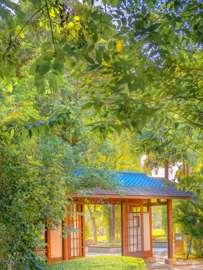科技特长是指什么