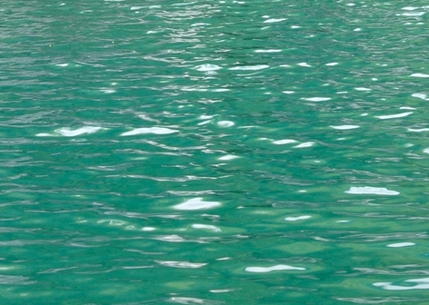 美术海底世界教案