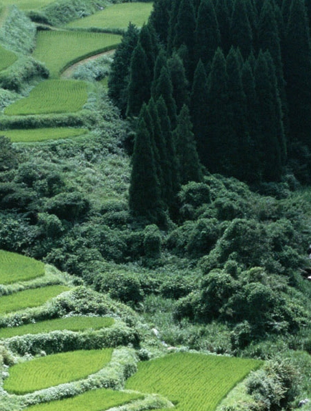 苹果联想图形创意