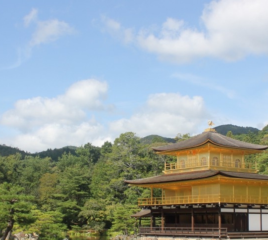 青岛海底世界属兔