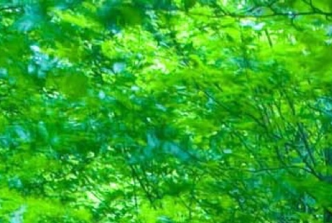 男生心灵被女生治愈，感动至深，带你看治愈心灵图片与文字