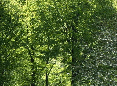 我的世界虚无世界3合成表