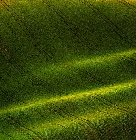恐龙世界