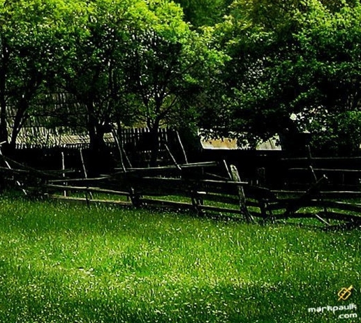 世界村庄的种子是多少