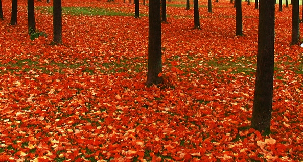 世界村庄地形码