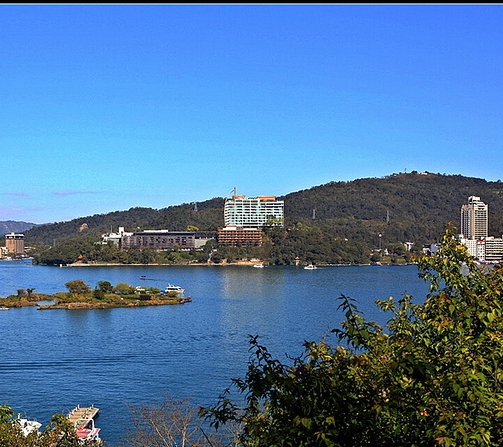 受伤的流浪狗