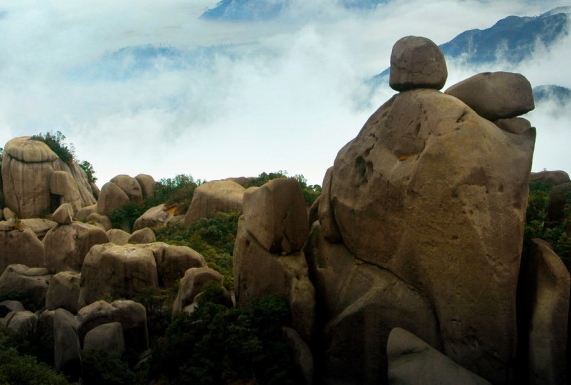 全民叹世界主持人