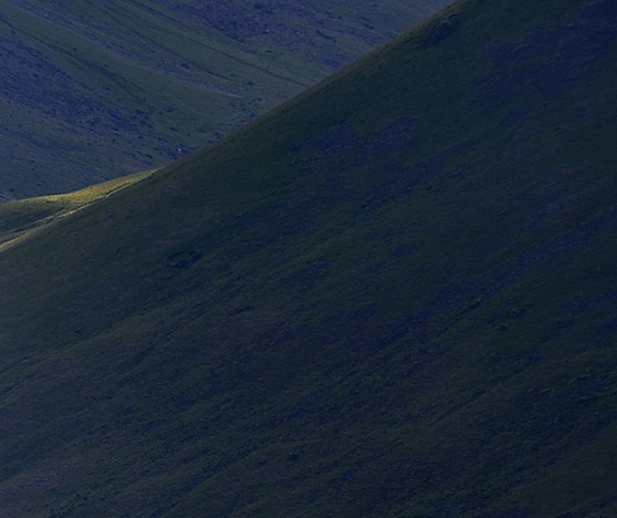 科技狐狸跳跃辅助