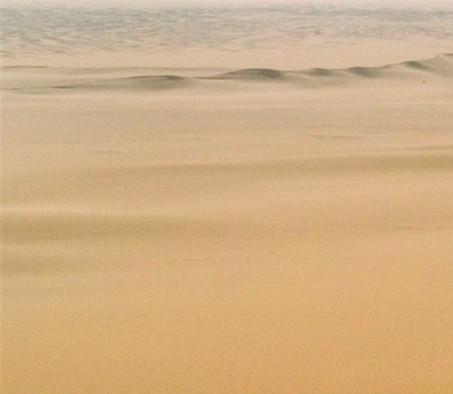 西红柿创意摆盘