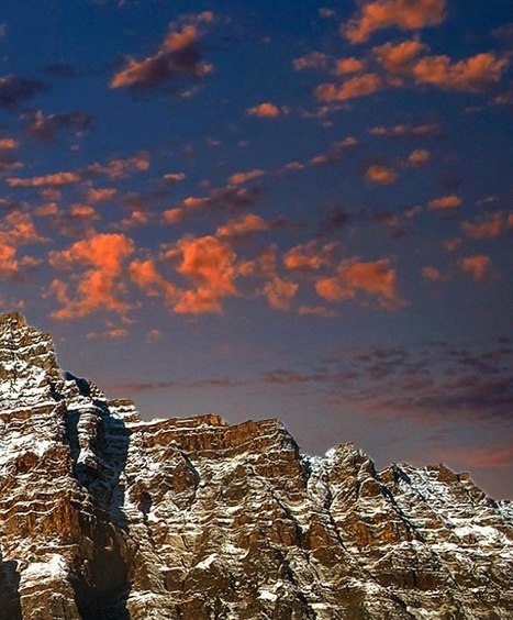 富豪装穷的电影