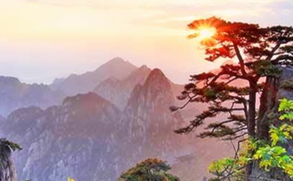娱乐世界天王从