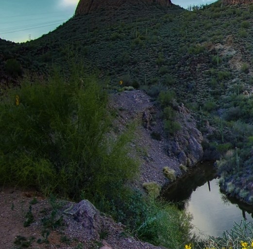 多功能水杯绘画