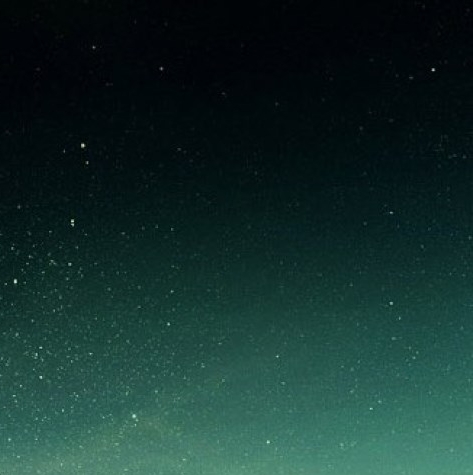 会员等级名称创意