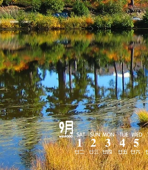 精神科医师招聘