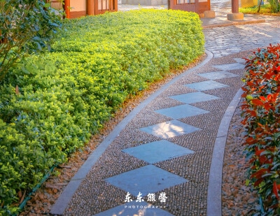 千川创意标签