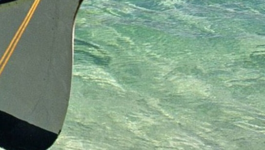 世界最大青鱼有多重