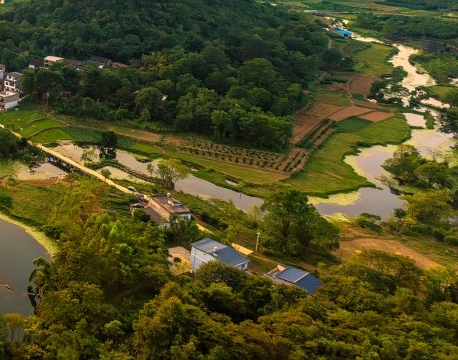 高位下拉训练器