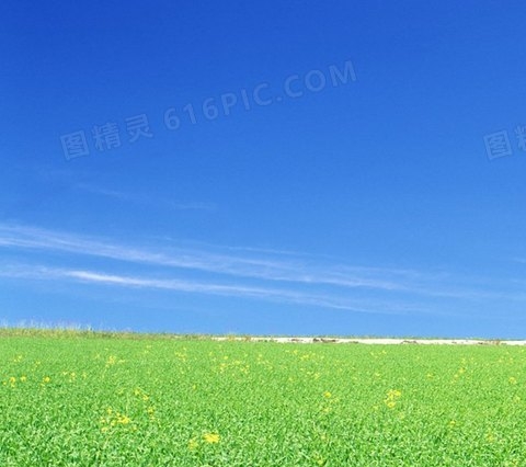 心灵旅行观后感
