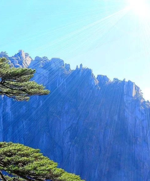 项目化教学核心概念