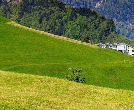 梅艳芳最好听的歌