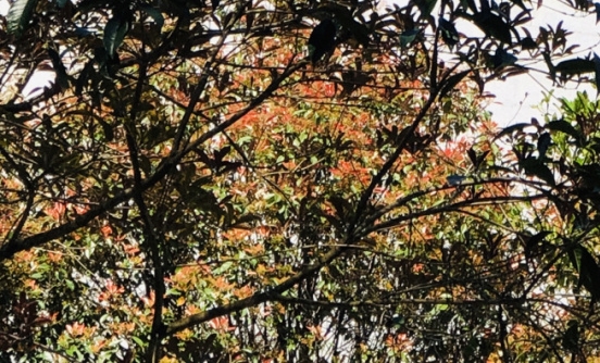 我们眼中的缤纷世界画画