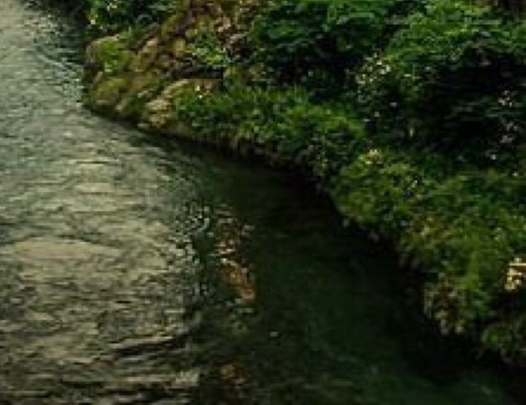 新狂飙世界：狂飙世界仔的飞车狂飙之旅