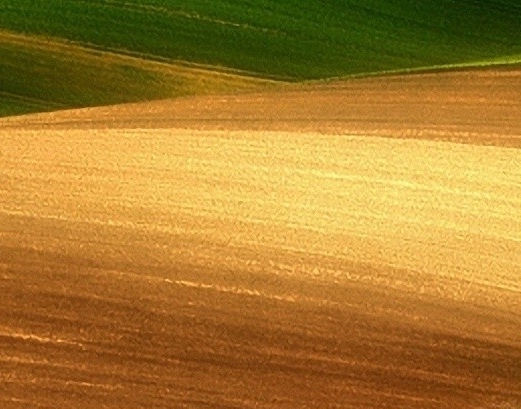 海哥玩我的世界