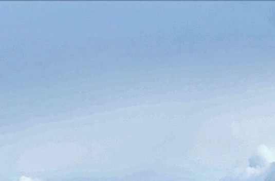 雨世界生物