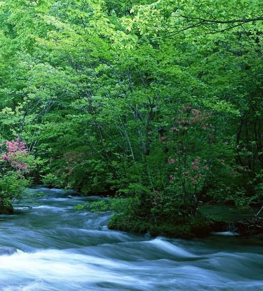 武侠小说有名的毒药