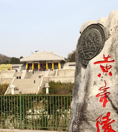 心灵细胞游戏攻略