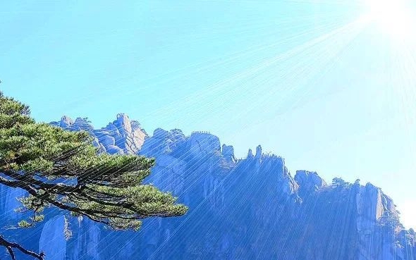 心灵深处的秘密
