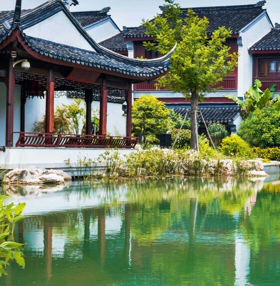 麂皮绒和科技布哪个贵