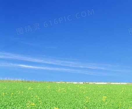 点石核心与阿波罗核心板，点石智投大师版下载助您投资轻松省心