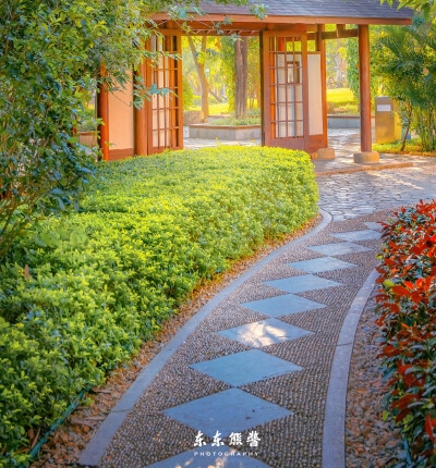 熬夜世界亚军