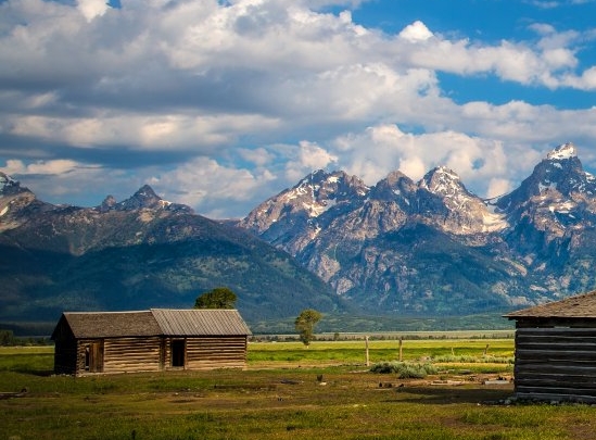 恐龙世界动画片免费观看